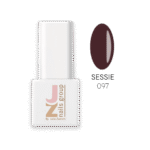 Esmalte Semipermanente JZ 097 Sessie