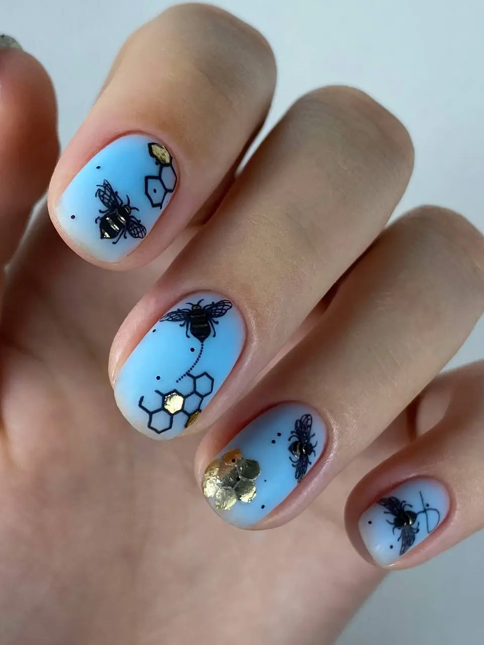 JZ Base Soft gel cover Multi Land - Imagen 2