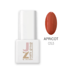 Esmalte Semipermanente JZ 053 - Apricot