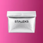 BOLSO NECESER STALEKS - PLATA ECOPIEL